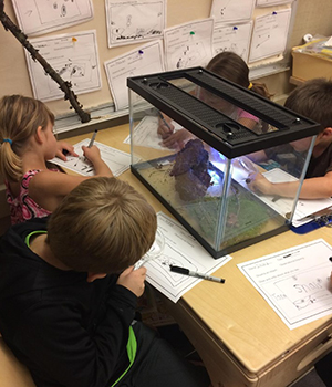 Kids playing with an aquarium.