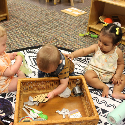 Group of infants looking through materials in a container